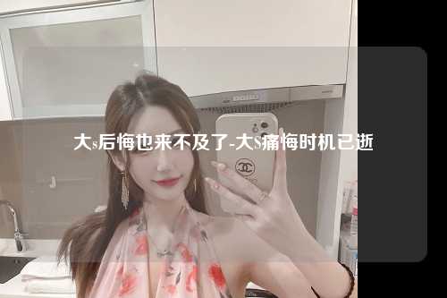 大s后悔也来不及了-大S痛悔时机已逝