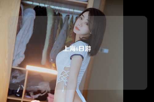 上海6日游