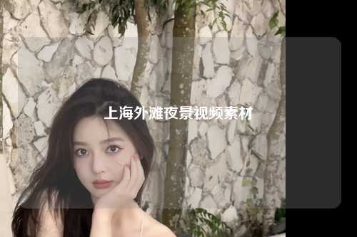 上海外滩夜景视频素材