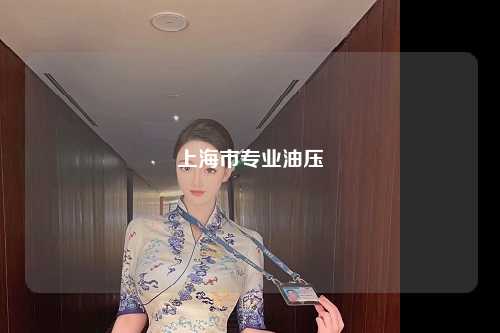 上海市专业油压