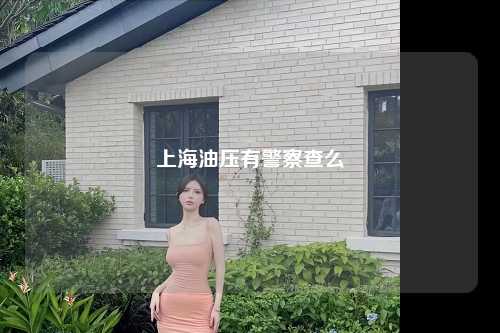 上海油压有警察查么
