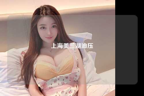 上海美兰湖油压