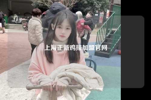 上海正新鸡排加盟官网