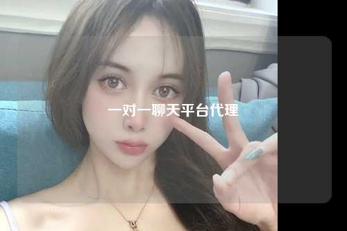 一对一聊天平台代理