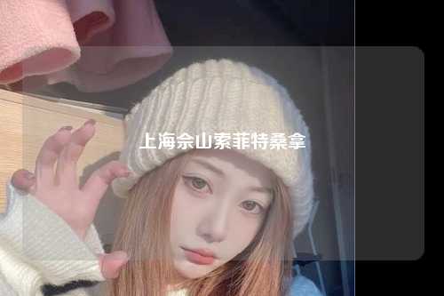 上海佘山索菲特桑拿