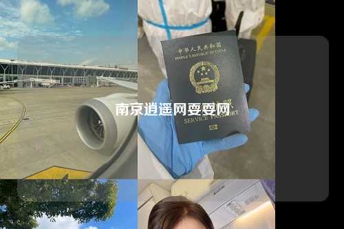 南京逍遥网耍耍网