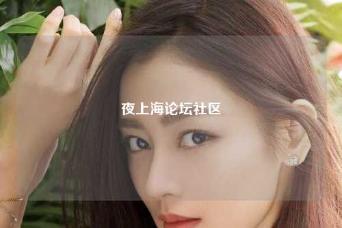 夜上海论坛社区