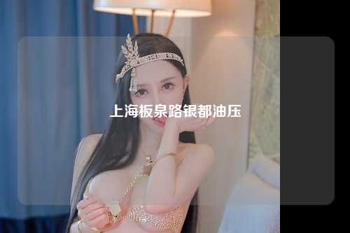 上海板泉路银都油压