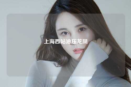 上海西站油压龙凤